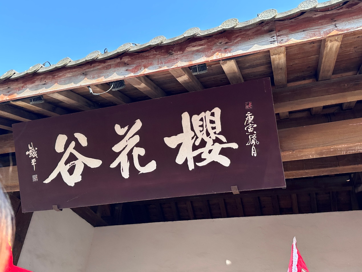 工會(huì)旅游邂逅初春 享受愜意——華義制藥無(wú)錫蘇州&望仙谷葛仙山之旅